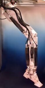 A robotics leg is powered by air muscles.