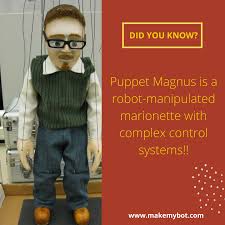 Puppet Magnus robot example in robotics with complex control systems.